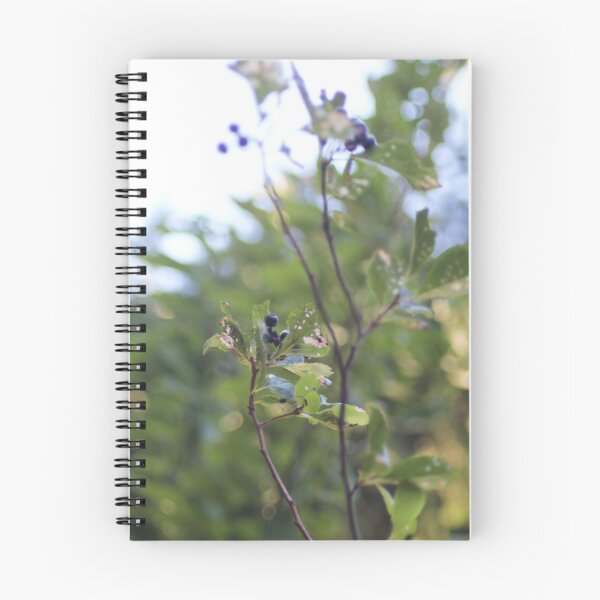 Item preview, huckleberries designed and sold by Dawna Morton.