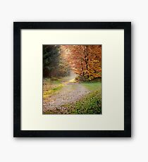 Autumn Framed Print