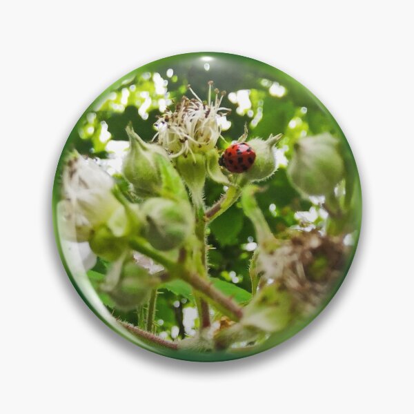 Item preview, Ladybird on a Bramble designed and sold by ArtisticMishaps.