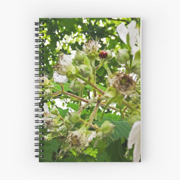 Item preview, Ladybird on a Bramble designed and sold by ArtisticMishaps.