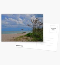 Tranquil Beach Postcards