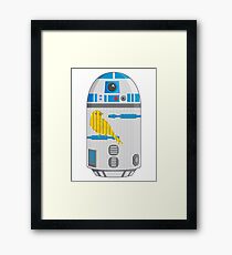 R2 Birdcage Framed Print