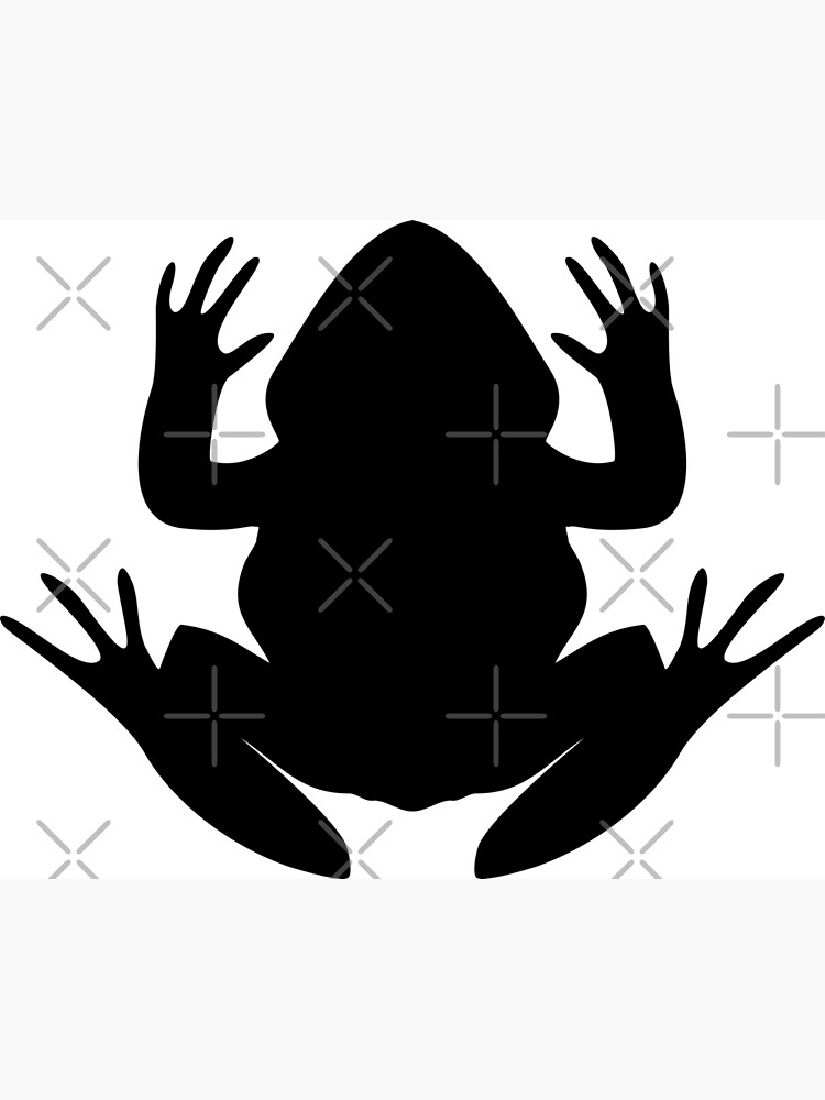 "Good Luck Frog" Photographic Print by BadLogo Redbubble