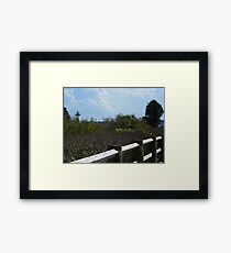 Lighthouse Framed Print