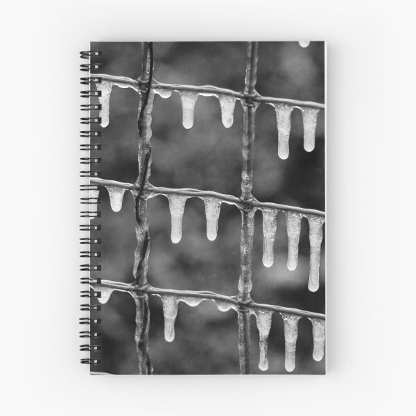 Item preview, A Texas Icicle Fence designed and sold by Robert Kelch, M.D..