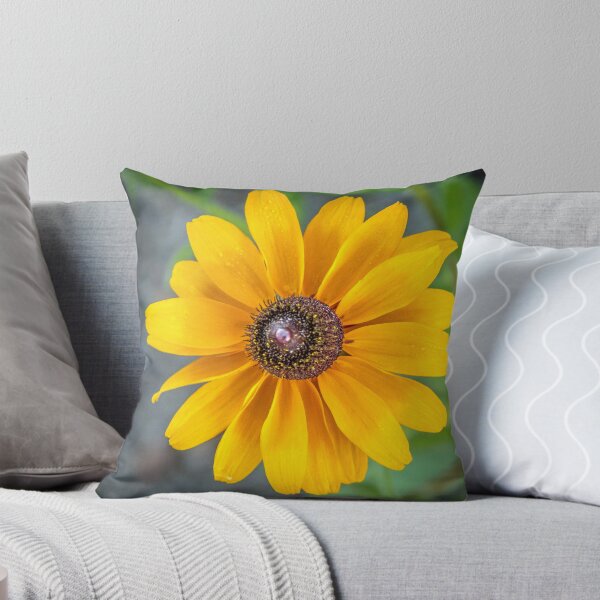 Item preview, Blackeyed Susan at Argo Cascades designed and sold by Robert Kelch, M.D..