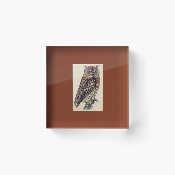 Item preview, Antique Owl Illustration / Be Wise designed and sold by FuzzyHoney.