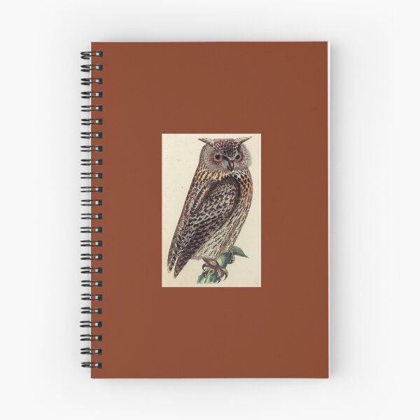 Item preview, Antique Owl Illustration / Be Wise designed and sold by FuzzyHoney.