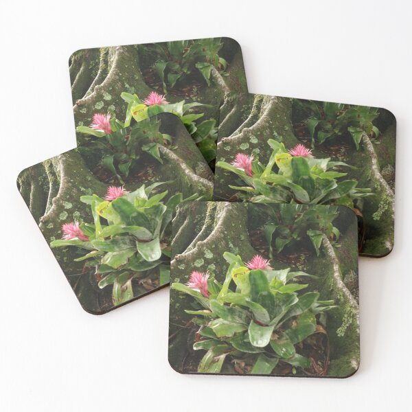 Item preview, Nature, Flora, Tree Trunk, Roots, Flower, Red, Europe, Portugal, Azores, Photography, BebiCervin designed and sold by BebiCervin.