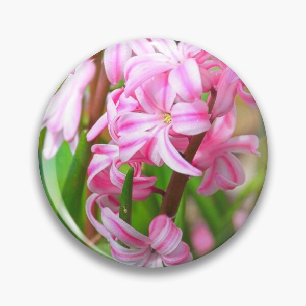 Item preview, Pink Hyacinths designed and sold by LisaWootenPhoto.