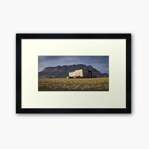 Morning Light Framed Art Print