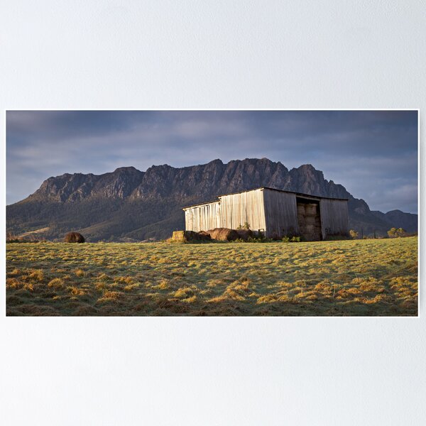 Morning Light Poster
