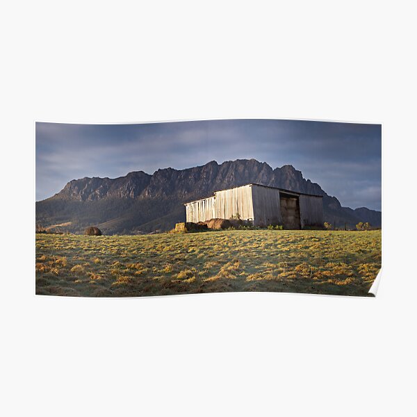 Morning Light Poster