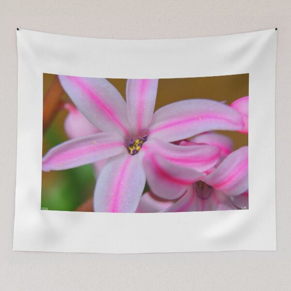 Item preview, Hyacinths Macro designed and sold by LisaWootenPhoto.
