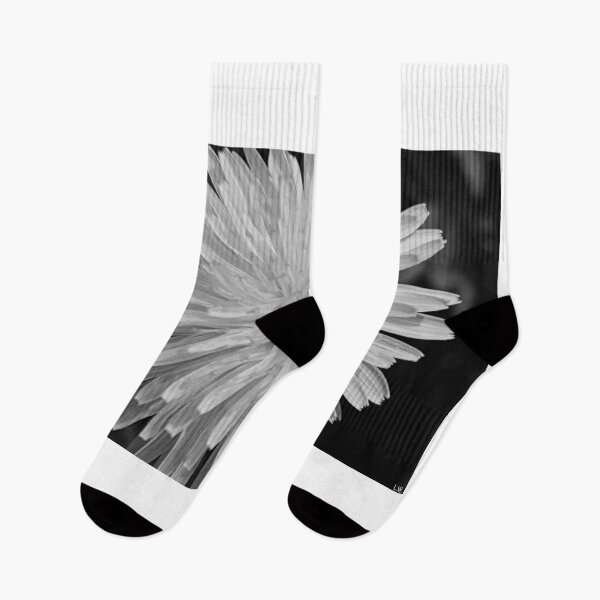 Item preview, Dandelion Black And White designed and sold by LisaWootenPhoto.
