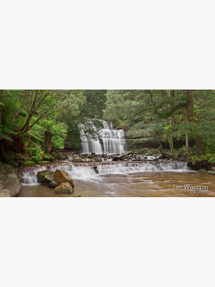 Liffey Falls, Tasmania by wootton60