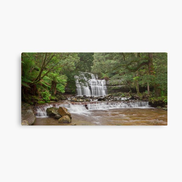 Liffey Falls, Tasmania Canvas Print