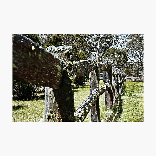 Item preview, The old fence, it's still standing designed and sold by myraj.
