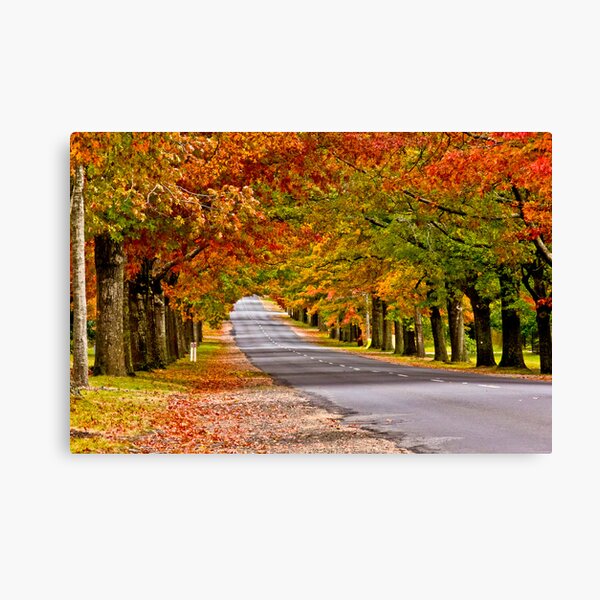 Item preview, Mt Macedon Autumn Colours designed and sold by Russell Charters.