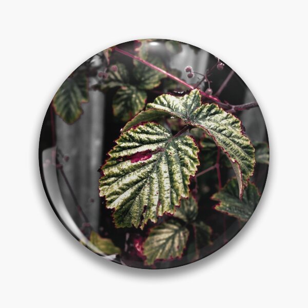 Item preview, Another Leaves in a Dark Place designed and sold by Olympia Ellinas.