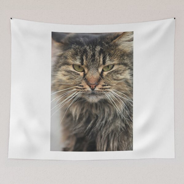 Item preview, Portrait of fluffy wild cat designed and sold by olena2552.