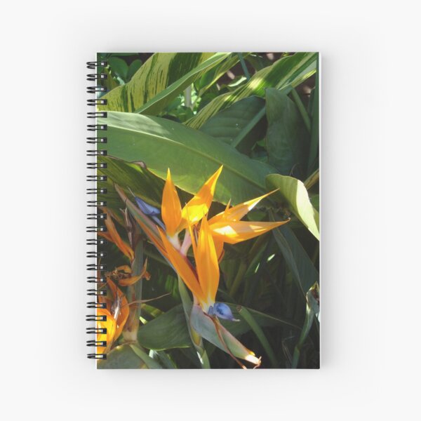 Birds of Paradise Spiral Notebook