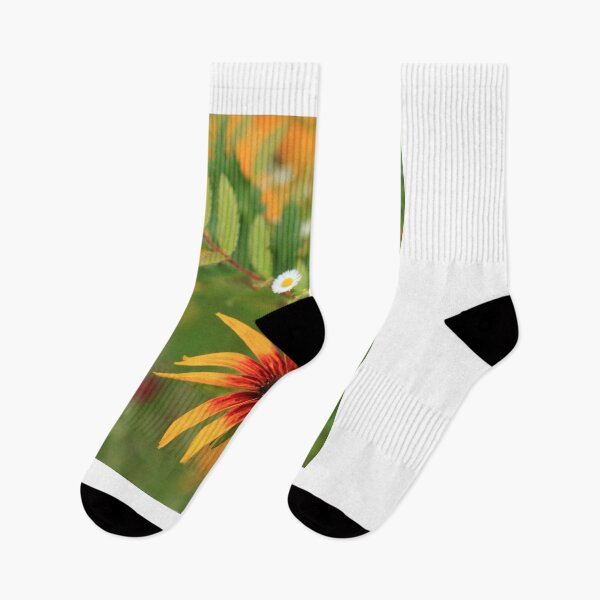Item preview, colorful  flowers in summer garden designed and sold by olena2552.