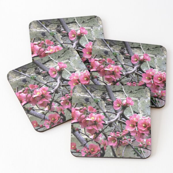 Item preview, Pleasant Pink designed and sold by Olympia Ellinas.