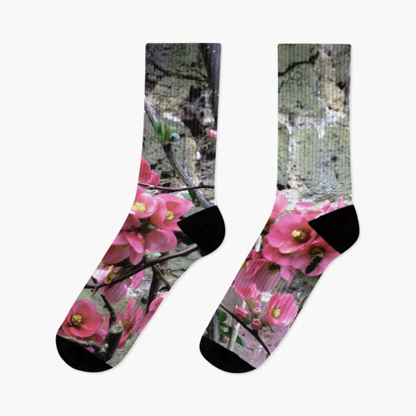 Item preview, Pleasant Pink designed and sold by Olympia Ellinas.