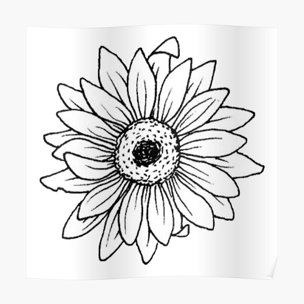 Pósters: Contorno De Girasol | Redbubble