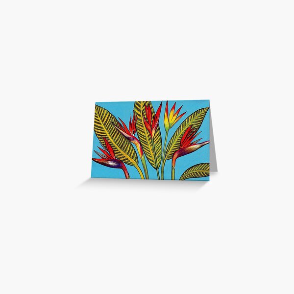 Birds of Paradise Greeting Card