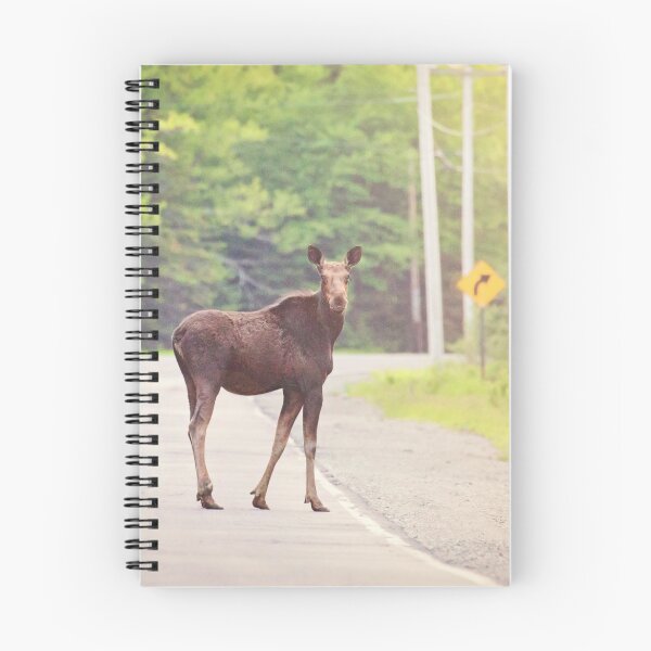 Item preview, Yearling Moose designed and sold by Sarah Van Geest.