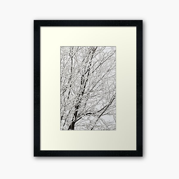 Winter's Paintbrush Framed Art Print