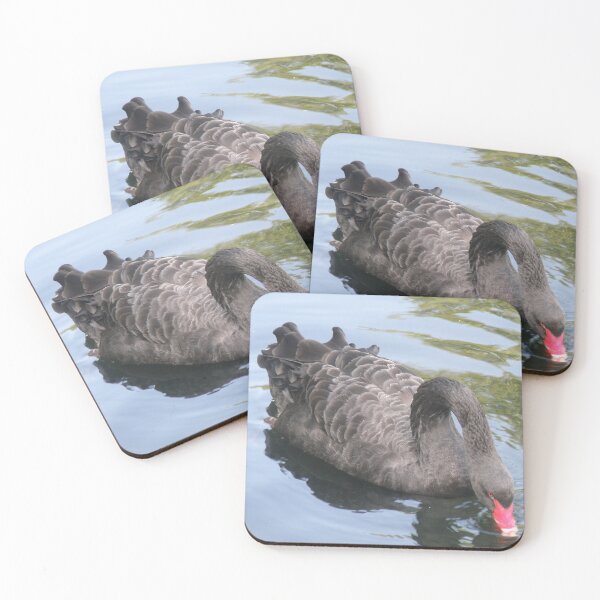 Item preview, Black Swan Drinking Water Photograph designed and sold by naturegallery.
