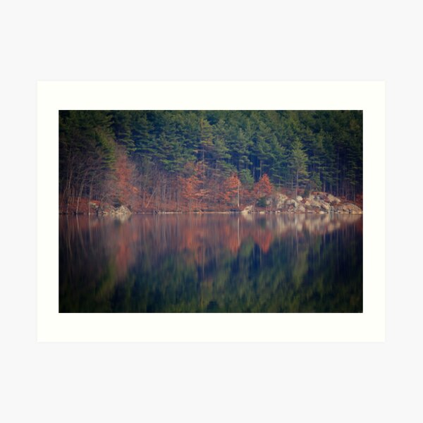 Rorschach Visits the Woods Art Print