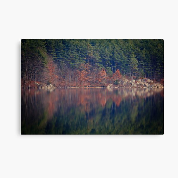 Rorschach Visits the Woods Canvas Print