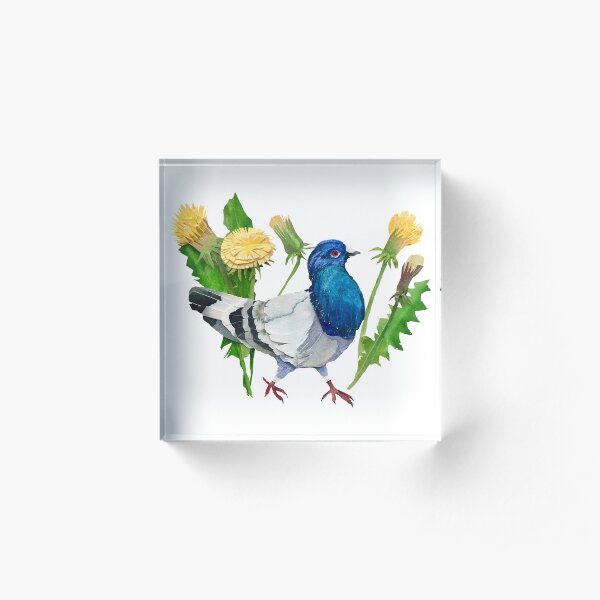Dandelion Pigeon Acrylic Block