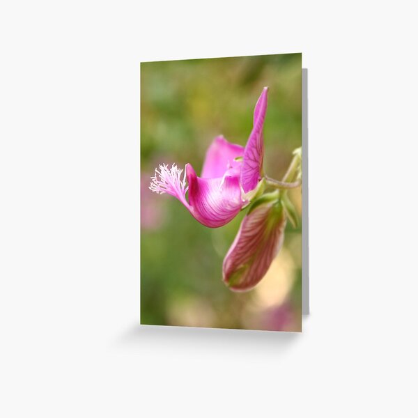 Purple Greeting Card
