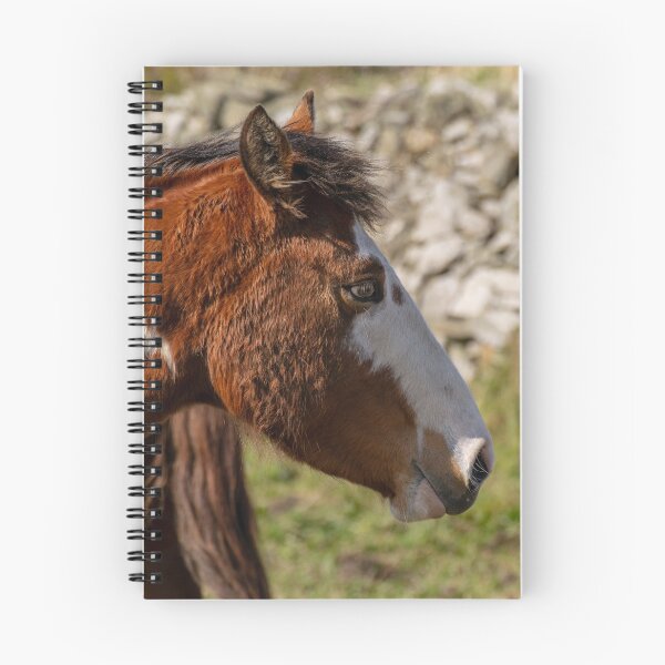 Item preview, Horse designed and sold by Zentura.