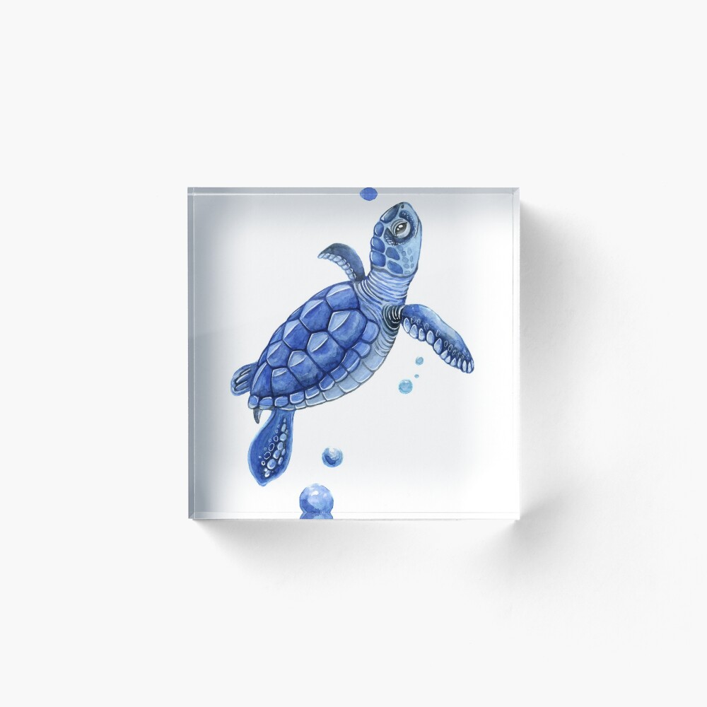 The blue turtle The blue turtle