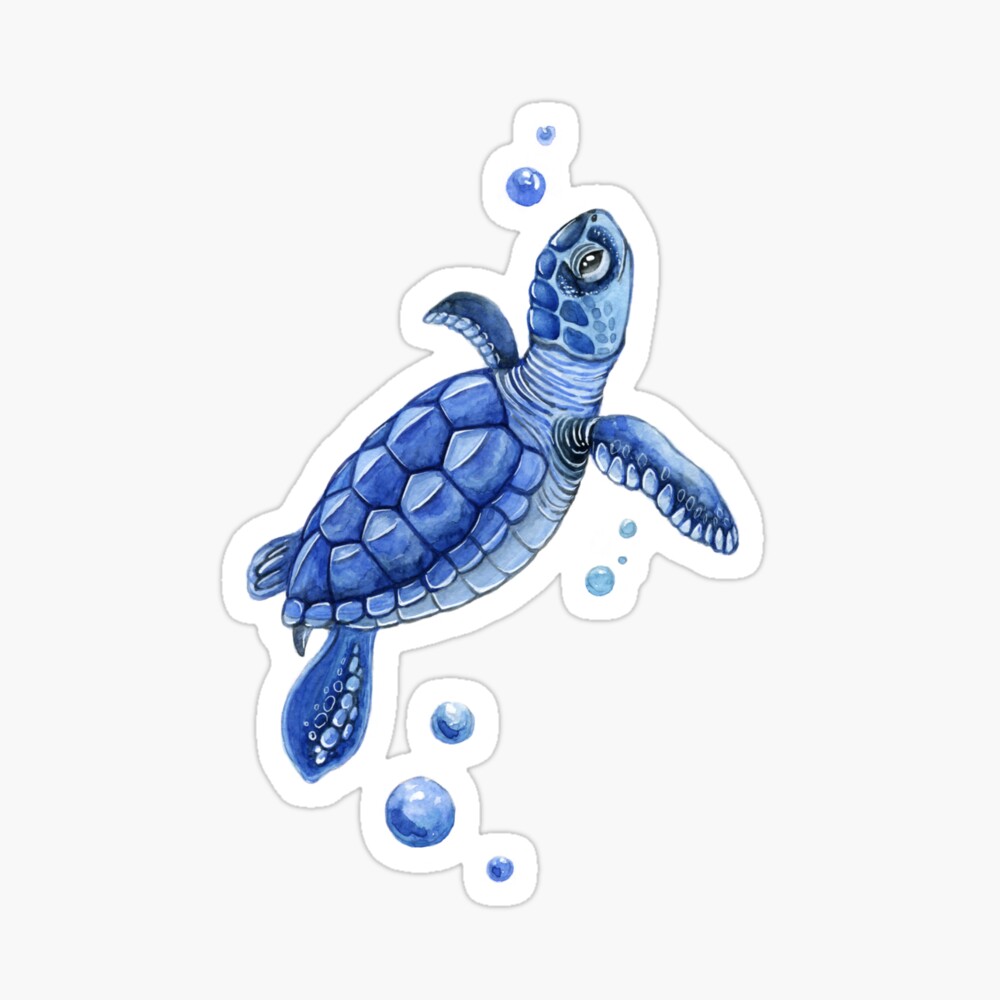 The blue turtle