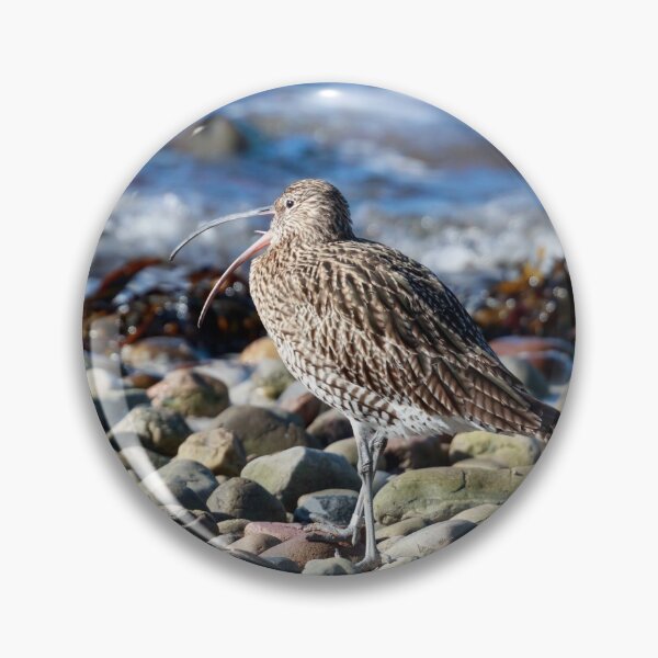 Item preview, Curlew designed and sold by chanonry.