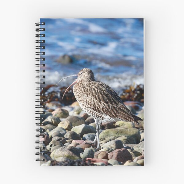Item preview, Curlew designed and sold by chanonry.