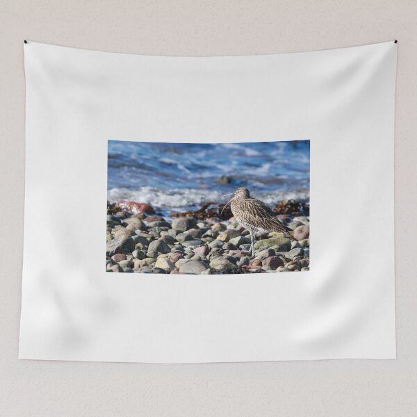 Item preview, Curlew designed and sold by chanonry.