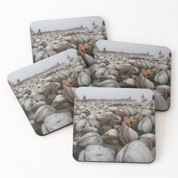 Item preview, clams designed and sold by AlfordsStore.