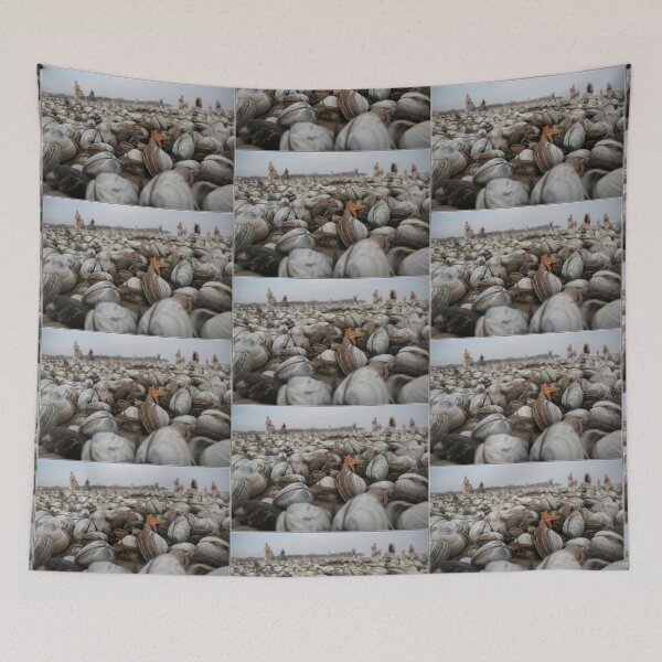 Item preview, clams designed and sold by AlfordsStore.