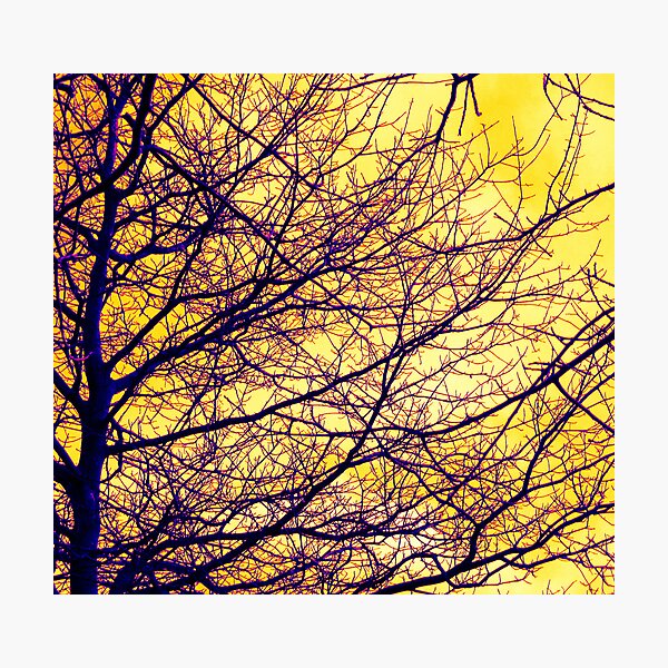 Item preview, The Leaves Have Gone But The Tree Is Still Beautiful designed and sold by Fara.