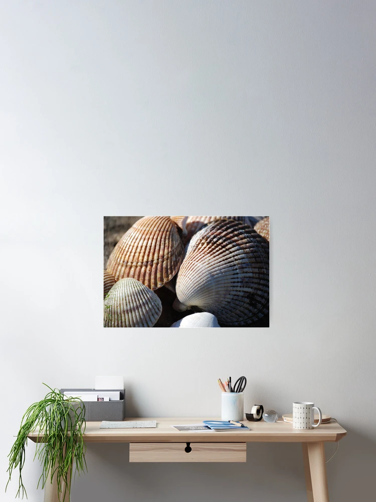 Thumbnail 2 of 3, Poster, Shellfish designed and sold by Randall Robinson.