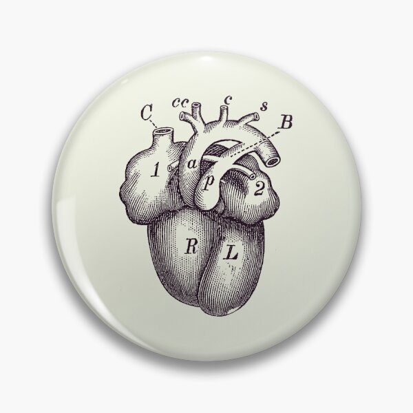 Item preview, Simple Human Heart Diagram 2 designed and sold by VAposters.