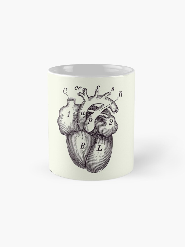 Simple Human Heart Diagram 2 Coffee Mug by Vintage Anatomy Prints - Fine  Art America